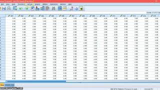 Validity and Reliability Test using SPSS [upl. by Abate]