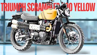 TRIUMPH SCRAMBLER 900 YELLOW [upl. by Inafit916]