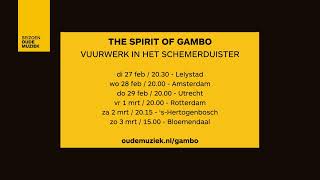 Oude Muziek in de Laurenskerk Vlog The Spirit of Gambo [upl. by Hutchinson]