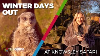 Why Knowsley Safari is the perfect destination for your next winter day out  The Guide Liverpool [upl. by Hnoj]