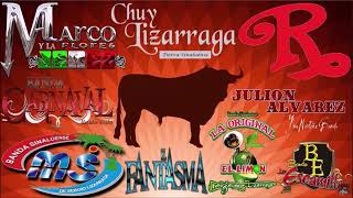 Mix De Sones De Jaripeo Con Banda 2023 Banda Jerez Chuy Lizarraga Banda El Recodo Banda MS [upl. by Holmes]