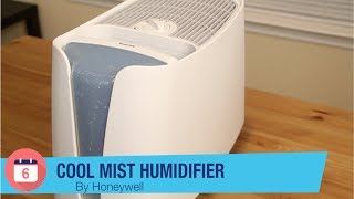 Honeywell Cool Mist Humidifier Review  6 Months Later [upl. by Nilyram]