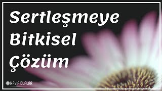 Sertleşmeye Bitkisel Çözüm Sertleşmesi İçin Ne Yemeli [upl. by Atinad903]