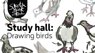 Study hall drawing birds [upl. by Amaty]