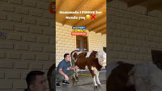 Hammada IPhone 16 bor Menda yoq 👍❤️ instagram funny youtubeshorts sevgi tiktokrektopshorts [upl. by Som490]