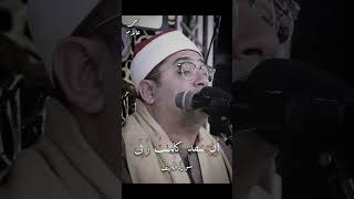 Shaikh mahmood shahat qoriinternasional qorimesir viralvideo [upl. by Yecad]