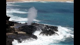 Places to see in  Oahu  USA  Halona Blowhole [upl. by Ruamaj]