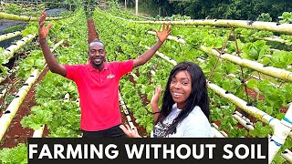 From Jamaican Olympic Athlete to running the largest HYDRO FARM in the Caribbean  Full Tour [upl. by Eimme471]