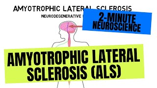 2Minute Neuroscience Amyotrophic Lateral Sclerosis ALS [upl. by Allanson]