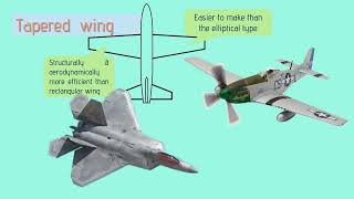 Five Types of Wing Planform Rectangular Taper Elliptical Swept back Delta wing  aerospace [upl. by Erodasi698]