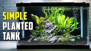 How To Build A Beautiful Planted Tank For Fish Easy [upl. by Leasa67]