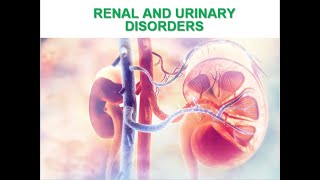 Pediatrics Nephrology Nephrotic Syndrome Glomerulonephritis Hemolytic Uremic Epispadias Hypospadias [upl. by Nnylirehs584]