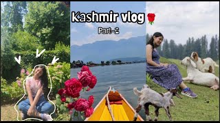 KASHMIR VLOG PART 2⛰️🌹 Sonmarg Gulmarg Grassland Shikara and Mughal garden [upl. by Mosira747]