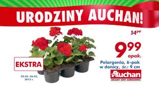 Auchan Urodziny  Pelargonia i Baleriny [upl. by Euqnom]