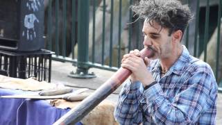 Quinto Antonio and his Didgeridoo in Sydney [upl. by Lonee542]