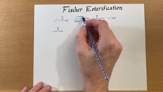 Fischer Esterification [upl. by Ynitsed]