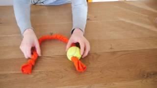 DIY Hundespielzeug selber basteln Hundezergel mit Ball [upl. by Anawahs]