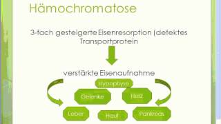 Hämochromatose  Erkrankungen der Leber [upl. by Oni416]