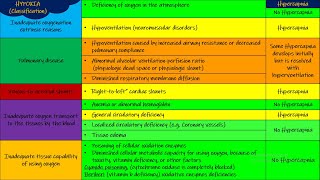 Hypercapnia Respiratory Physiology Chapter 43 part 8 Guyton and Hall Physiology [upl. by Valenka]