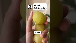 10 Natural diabetic healers shortsviral ytshorts dietitian  traditional herbs food dietetics [upl. by Thetis]