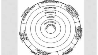 Branches of linguistics [upl. by Dinsmore]