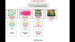 videomappa  scienze  2 i regni dei viventi [upl. by Aynatal]