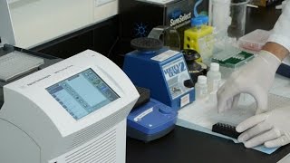 SureSelect Agilent SureSelect QXT Capture and Wash [upl. by Edva539]