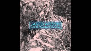 Jared Wilson  Detroit Tracks 1 Analog Mix SKUDGE PT006 [upl. by Adalheid]