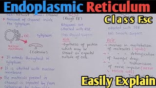 Endoplasmic Reticulum Structure And Functions  Class 11 Biology [upl. by Schurman]