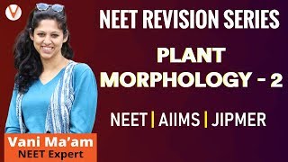 NEET Biology 2019  Plant Morphology  2 [upl. by Rexer]