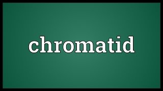 Chromatid Meaning [upl. by Eninej]