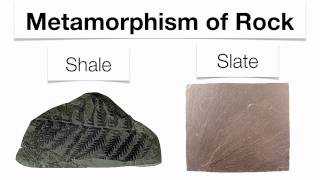 Metamorphic RocksHommocks Earth Science Department [upl. by Ranchod801]