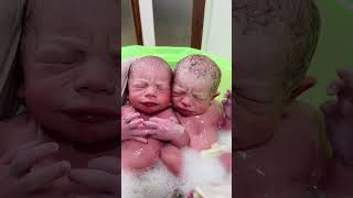 New Born Twins Babies baby newmother newchild cutebaby cute newparents bebe newmommysjourney [upl. by Enyrat]