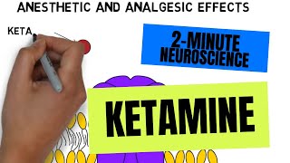 2Minute Neuroscience Ketamine [upl. by Ltsyrk]