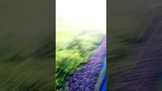 Train traveler boystraintravel traintravel fry traintravel trainjourney trainjourney indian [upl. by Nawek]