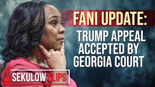 FANI UPDATE Trump Appeal Accepted By Georgia Court [upl. by Eceela]