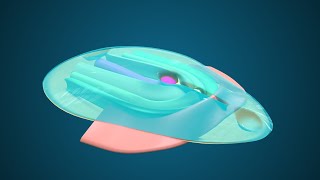 Fate Map during Gastrulation  3D Human Embryology  Third Week Embryology [upl. by Nodarse143]