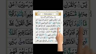 Sura AlYasin Sura Yaseen The Most beautiful Quran sura youtube shortsvideo suraharrahman [upl. by Stanislaus]