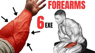 6 BEST FOREARMS EXERCISES AT GYM amp HOME  Extensor  Flexor  Brachioradialis [upl. by Britt525]