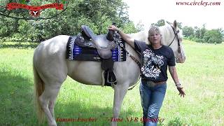 Tammy Fischer Explains all the features of her Circle Y treeless saddles [upl. by Cid845]