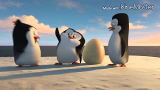 Acrophobiaกลัวความสูง  Penguin Villa  MV [upl. by Angelique]