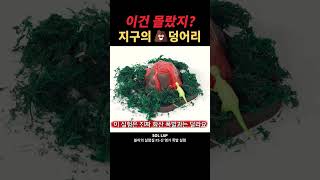 아무도 몰랐던 정체 폭발 화산 화산폭발 공룡 science experiment explosion volcano dinosaur shorts [upl. by Ylecara]