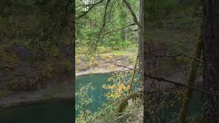 Beautiful BC  Cowichan River [upl. by Allred]