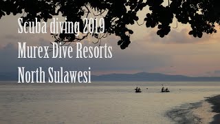 Scuba Diving  Sulawesi Indonesia May 2019 [upl. by Ardnasac]