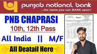 PNB बैंक मे Peon भर्ती 2024 PNB BANK VACANCY 2024PNB BANK PEON BHARTI 2024 Punjab​ National​ [upl. by Attiuqihc]