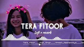 Tera Fitoor slowed and Reverb lofi song Mr dj music official [upl. by Petit]