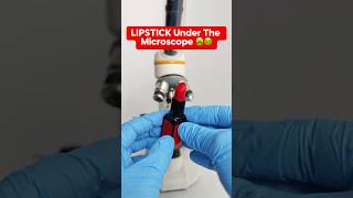 LIPSTICK Under The Microscope🤮🤢 [upl. by Diarmit611]