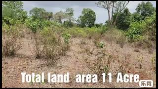 farm house land near Neral  5 lakh per acre 712 land [upl. by Uttasta425]