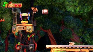 Donkey Kong Country Tropical Freeze  Trunk Twister 14 100 Walk Through [upl. by Kumar]