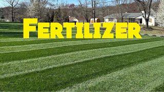 Spring Lawn Fertilizer Tips And Tricks SPOON FEEDING [upl. by Hsirrap980]